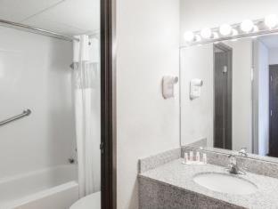 Hotel Ramada Plaza By Wyndham Albany
